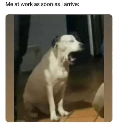 Random Memes