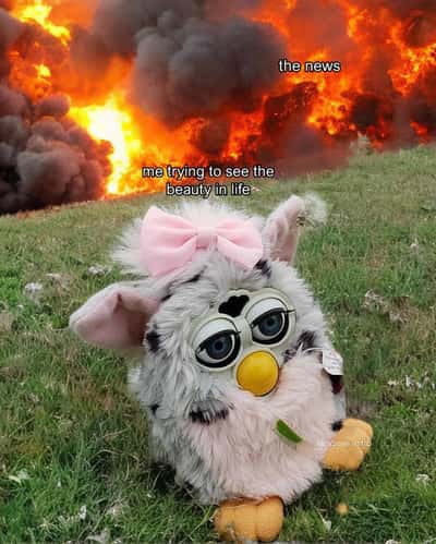 Random Memes