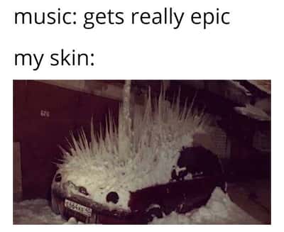 Random Memes