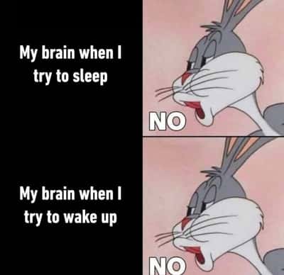 Random Memes