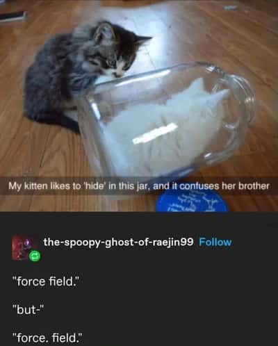 Random Memes