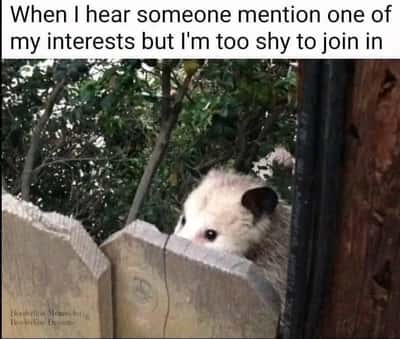 Random Memes