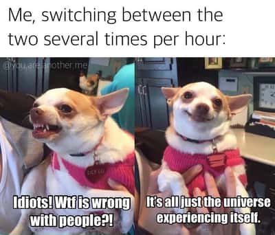 Random Memes