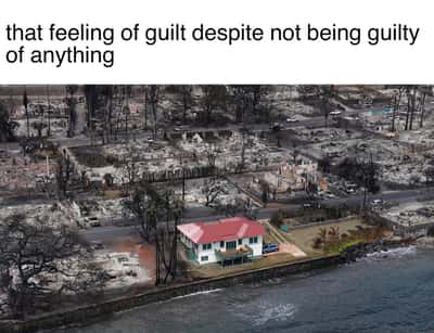 Random Memes
