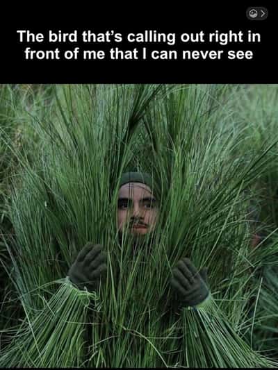 Random Memes