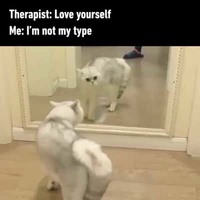 Random Memes