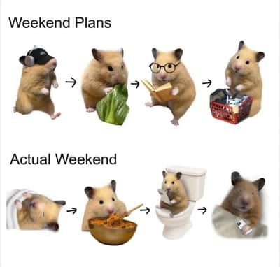 Random Memes