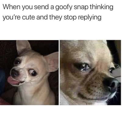 Random Memes