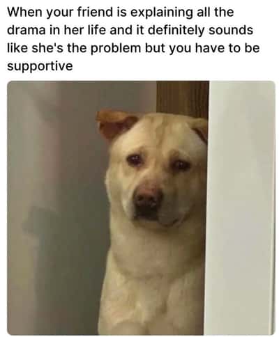 Random Memes