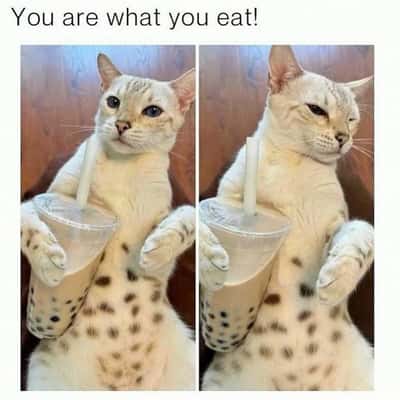 Random Memes