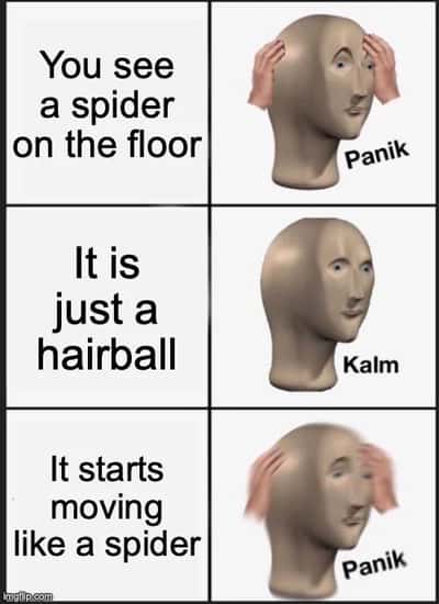 Random Memes