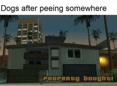 Random Memes