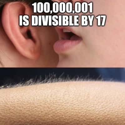 Random Memes