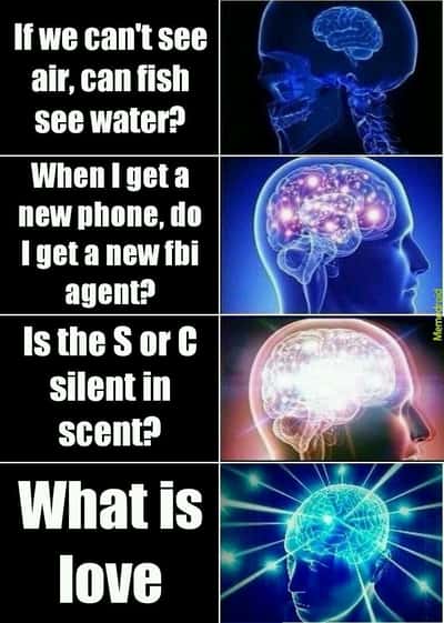 Expanding brain meme asking weird philosophical questions