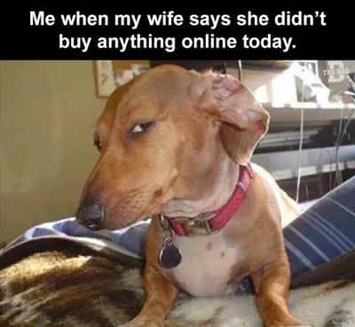Side Eye Memes