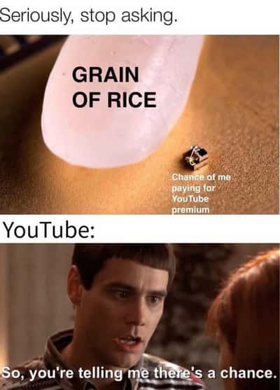 Random Memes