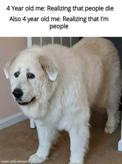 Random Memes