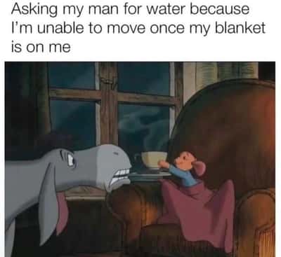 Random Memes