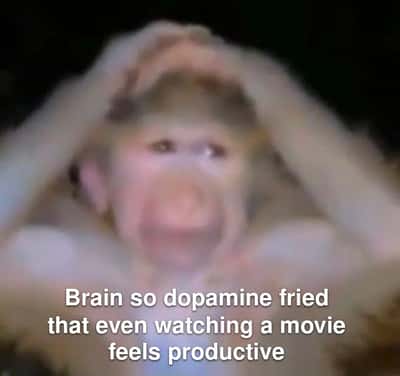 Random Memes