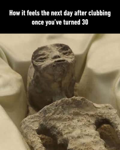 Random Memes