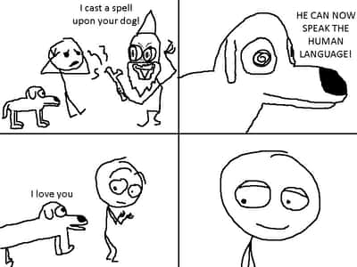 Random Memes