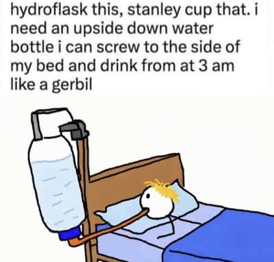 Random Memes