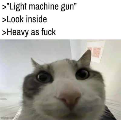 Random Memes