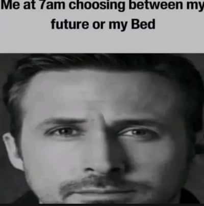 Random Memes