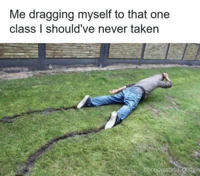 Random Memes