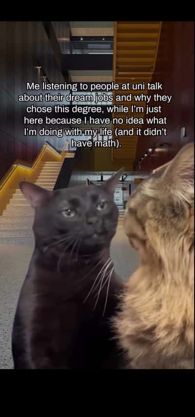 Random Memes