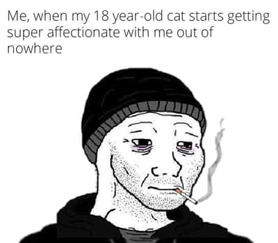 Random Memes