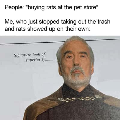Random Memes