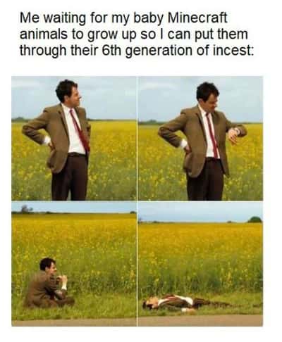 Mr.Bean waiting meme waiting for minecraft animals to grow up