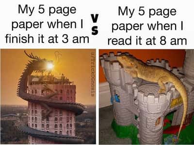 Random Memes
