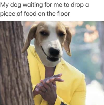 Random Memes