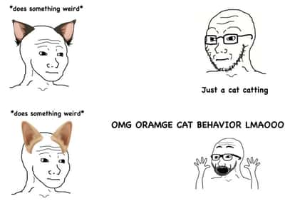 Random Memes