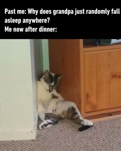 Random Memes