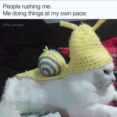 Random Memes