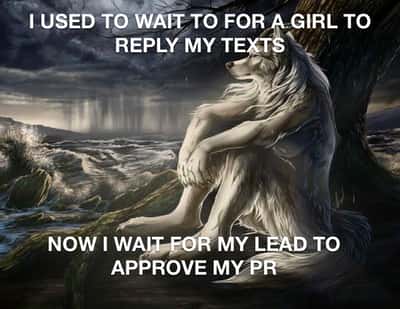 Sitting wolf meme waiting for his team lead to approve his PR