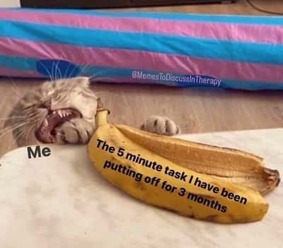 Random Memes