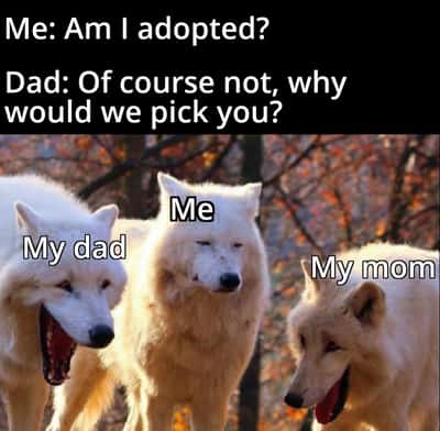 Deadpan white wolf family meme hitting you with the brutal accidental adoption burn