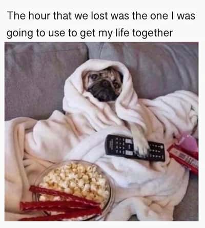 Random Memes