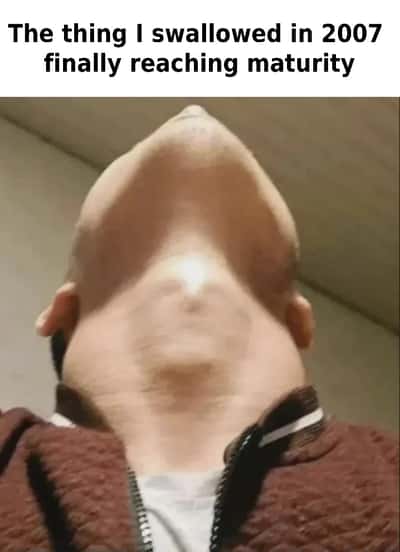 Random Memes