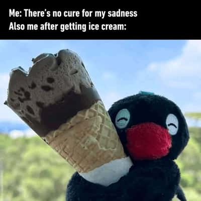 Random Memes
