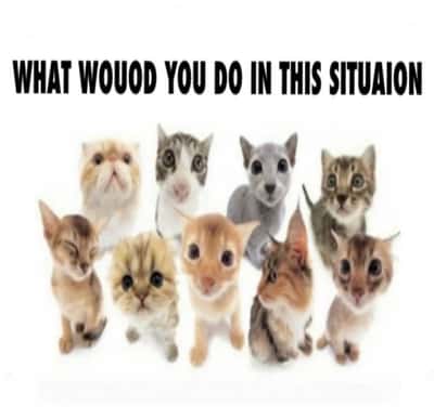 Random Memes
