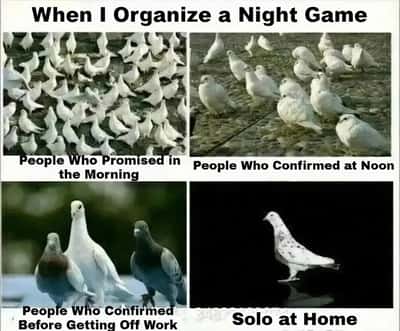 Random Memes