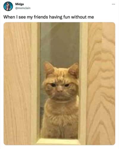 Random Memes