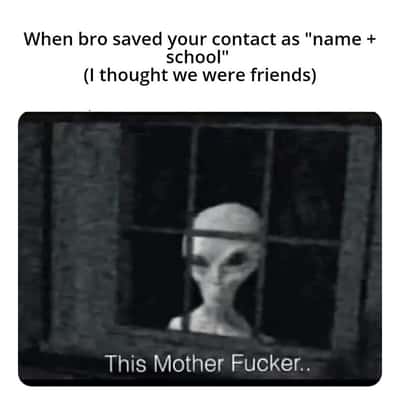 Random Memes