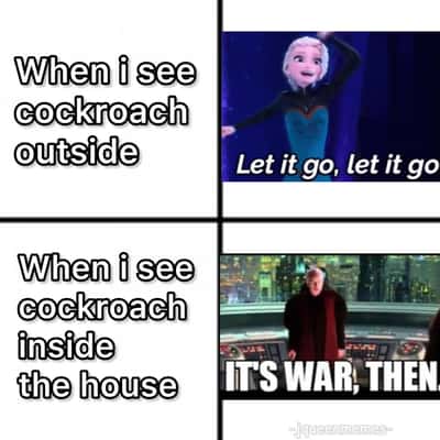 Random Memes