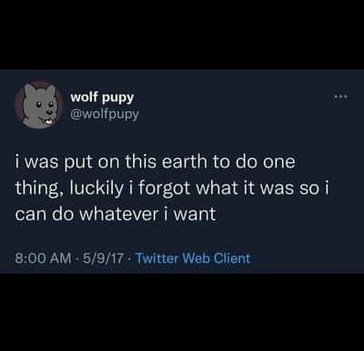 Random Memes